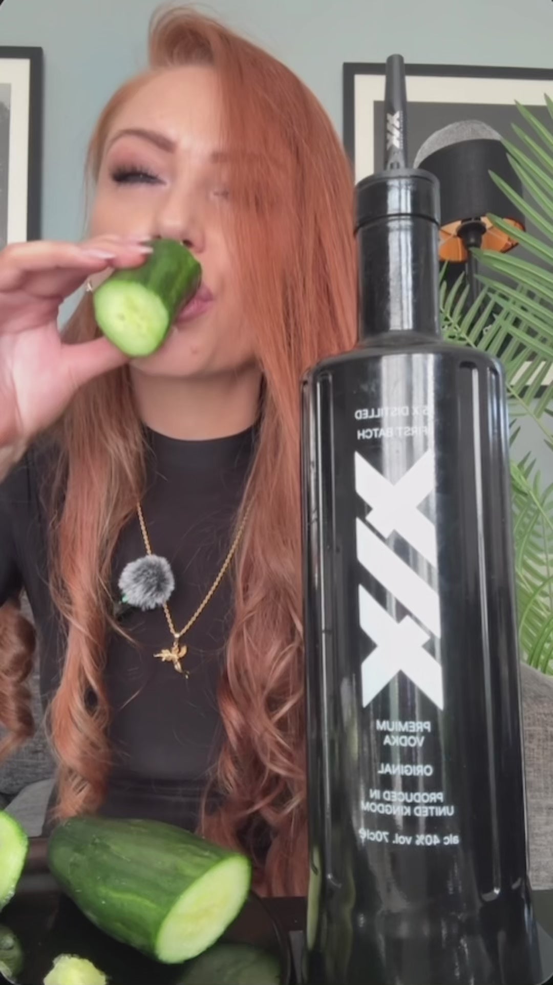XIX TOFFEE APPLE – XIX Vodka